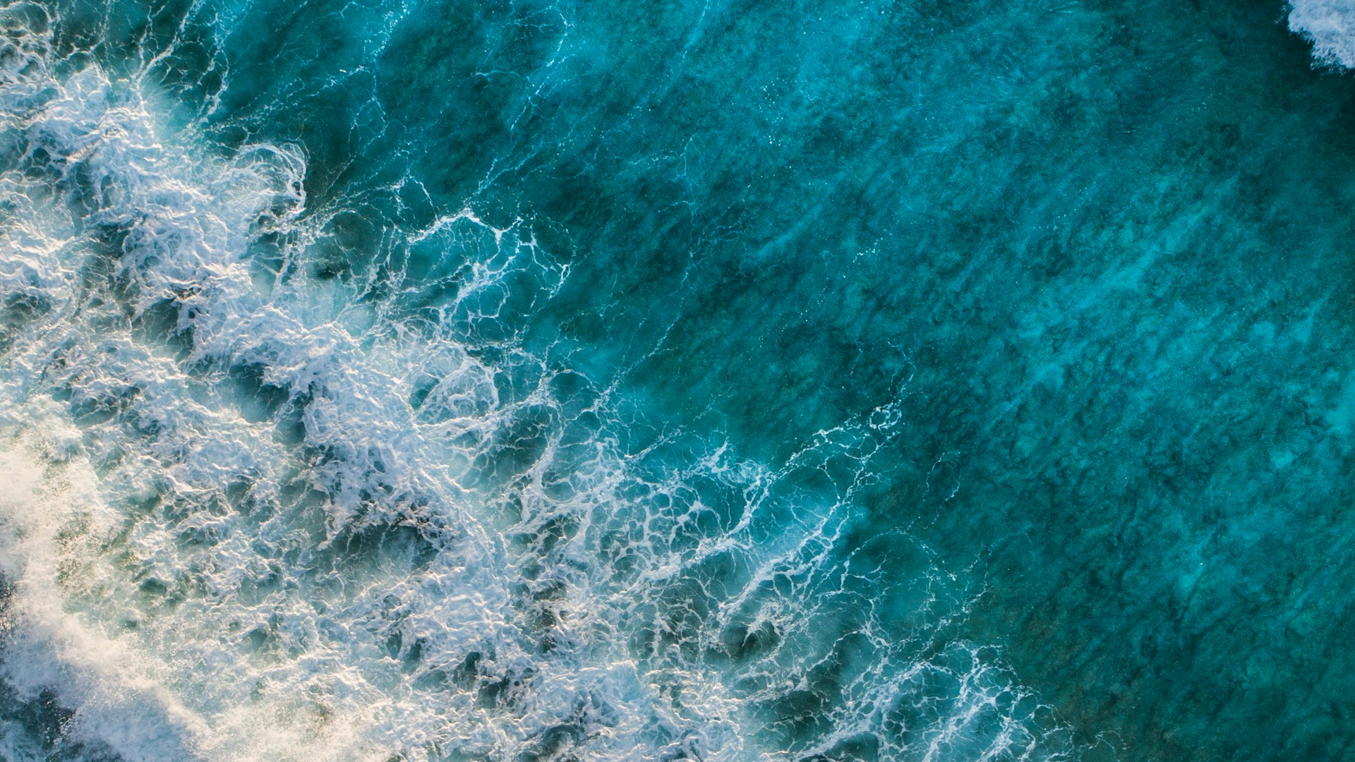 VİVA FİTNESS PLATESS